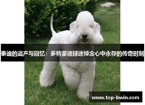 泰迪的遗产与回忆：多特蒙德球迷悼念心中永存的传奇时刻