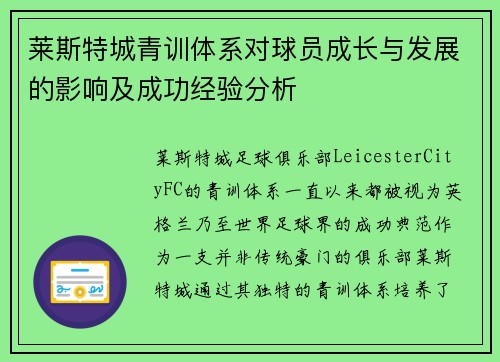 莱斯特城青训体系对球员成长与发展的影响及成功经验分析